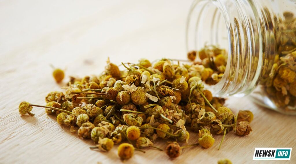 Dry Chamomile Flower