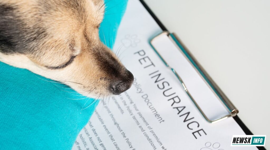 Nationwide Pet Insurance